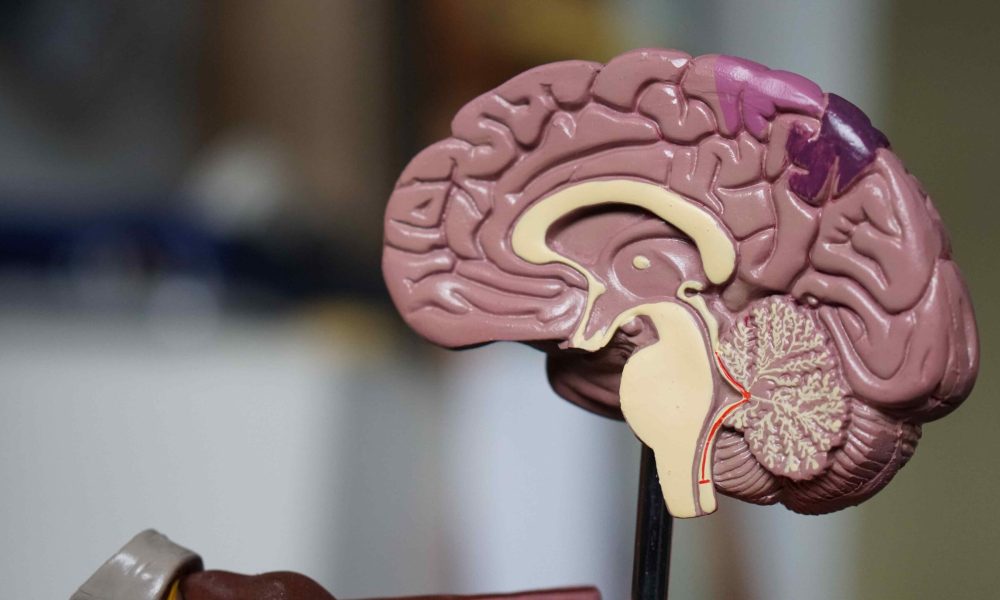 Méthodes naturelles pour lutter contre l’addiction : Retrouver le contrôle de manière douce et durable
